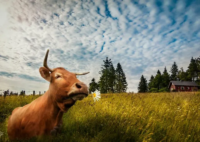Piste Und Pedale , Deine Bude-dein Abenteuer Winterberg
