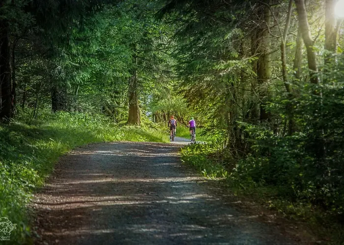 Piste Und Pedale , Deine Bude-dein Abenteuer *