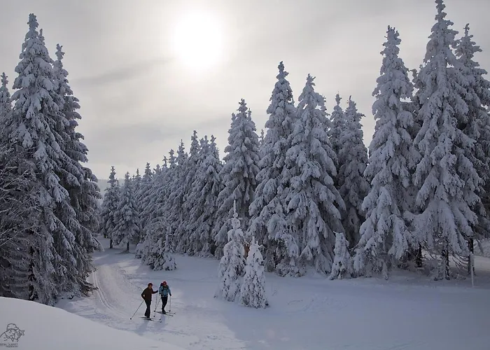 Piste Und Pedale , Deine Bude-dein Abenteuer Apartment