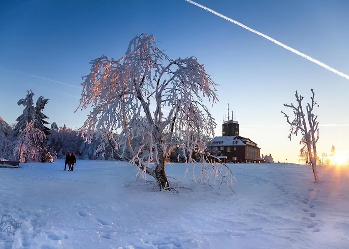 Piste Und Pedale , Deine Bude-dein Abenteuer